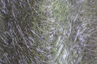 Church Coombe fibreglass roof work